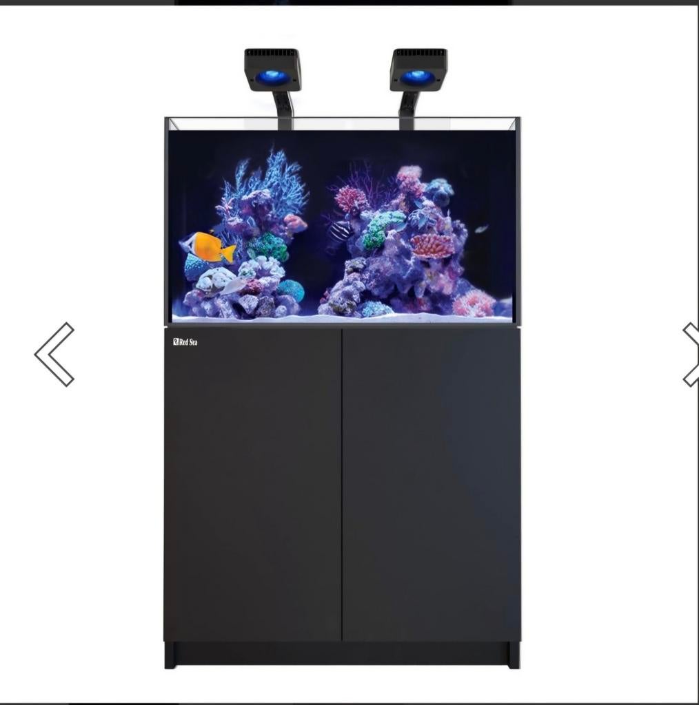 Red sea reefer 250, Ophalen, Leeg aquarium