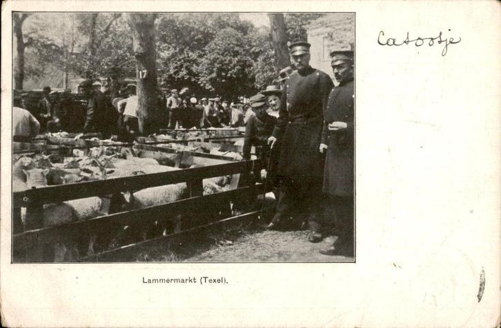 Lammermarkt Texel TOPKAART st Den Burg 1906, Verzamelen, Ansichtkaarten | Nederland, Gelopen, Waddeneilanden, Voor 1920, Ophalen of Verzenden