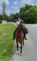 Verzorgster gezocht - Noordwijk - 16+, Dieren en Toebehoren, Paarden en Pony's | Overige Paardenspullen, Ophalen, Recreatie