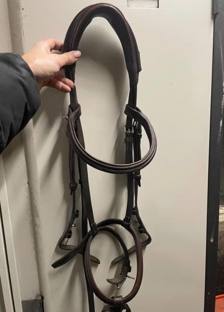 CWD Anatomisch Hoofdstel, Ophalen of Verzenden, Zo goed als nieuw, Springen