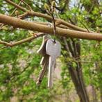 Sleutels gevonden graaf florislaan, Ophalen of Verzenden, Volle zon, Overige soorten, Minder dan 100 cm