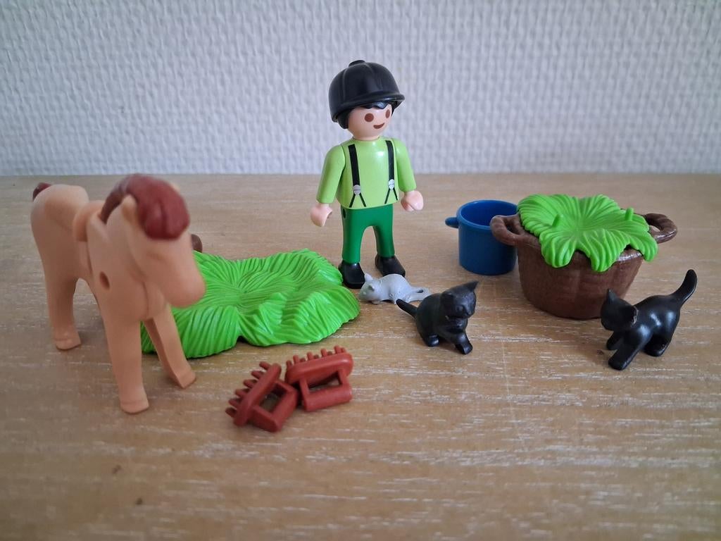 Playmobil jonge ruiter met paard, poes, muis, Ophalen of Verzenden, Zo goed als nieuw, Complete set