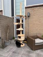 Cat tower - Krabpaal – verstelbaar (220–260 cm), Dieren en Toebehoren, Ophalen, Gebruikt, Krabpaal