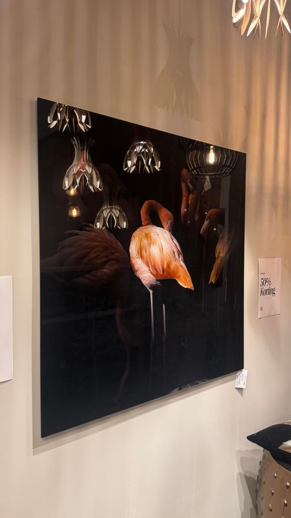 Cobra Art Schilderij Flamingo 100x100 - Showroom Model, Ophalen of Verzenden