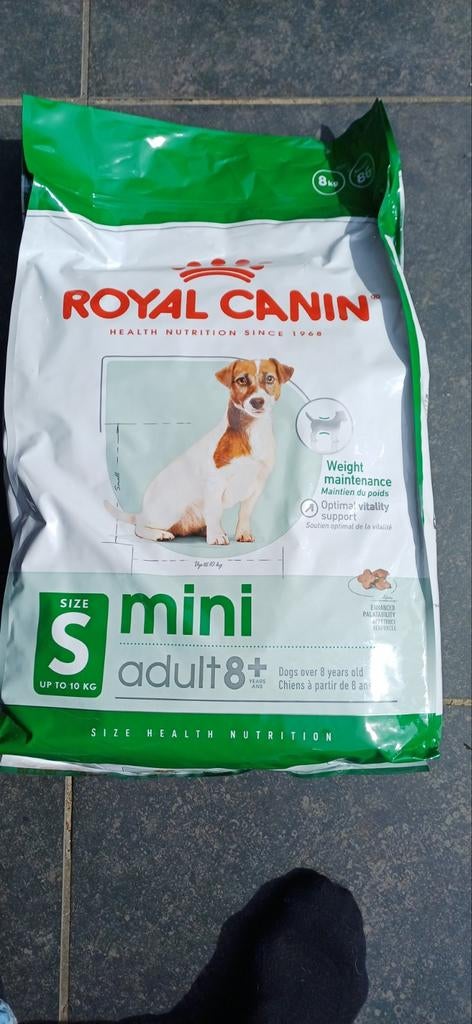Royal Canin mini adult 8+  4x8kg, Dieren en Toebehoren, Ophalen, Hond