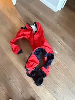 Marine Pool Zeilpak Maat L - Rood/Blauw, Watersport en Boten, Ophalen of Verzenden, Gebruikt, Dame of Heer, Zeilpak