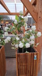 Kunstplanten, Ophalen of Verzenden, Zo goed als nieuw