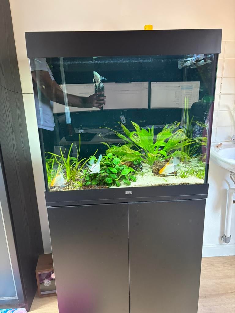 Juwel Lido 200 + Oase Biomaster Thermo 350, Dieren en Toebehoren, Vissen | Aquaria en Toebehoren, Ophalen, Zo goed als nieuw, Leeg aquarium