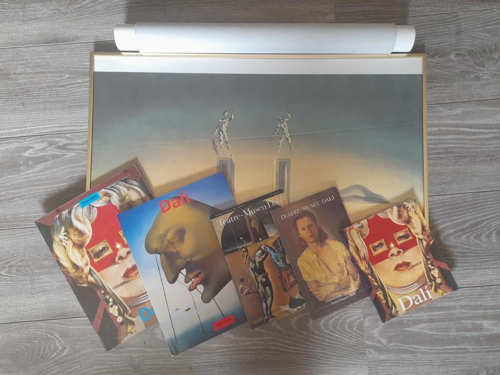 Dali boeken en poster, Ophalen