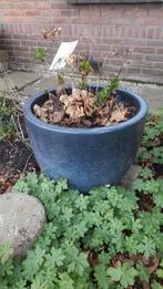 4x keramische bloempot blauw 3 verschillende maten, Rond, Zo goed als nieuw, Minder dan 40 cm, Balkon