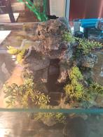 Tartarium of aquarium eiland, Ophalen, Leeg aquarium