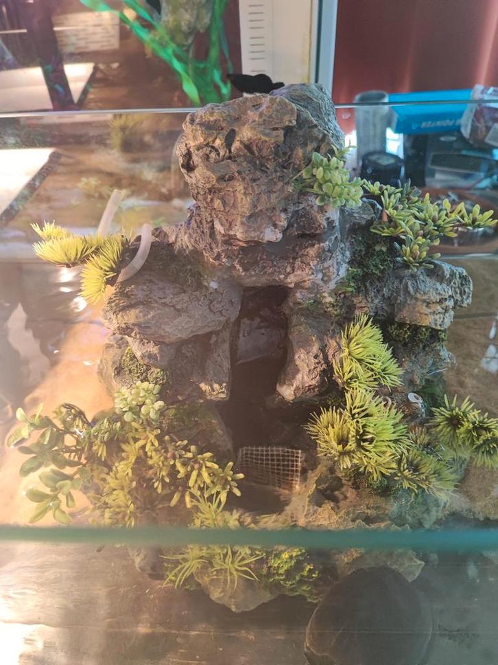 Tartarium of aquarium eiland, Dieren en Toebehoren, Vissen | Aquaria en Toebehoren, Leeg aquarium, Ophalen