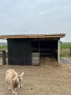 aangeboden:stalling kleine pony<125cm, Dieren en Toebehoren, Stalling en Weidegang, Weidegang, 1 paard of pony