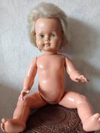 Wildebras pop 60 cm groot, Verzamelen, Ophalen of Verzenden, Pop