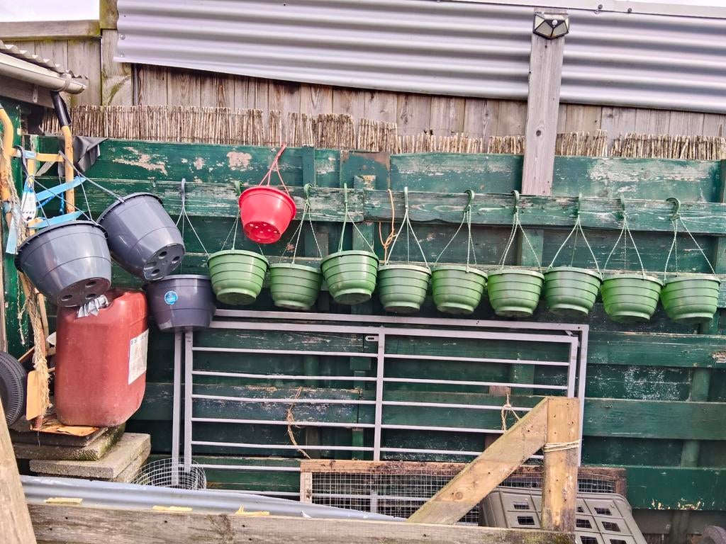 Hangende bloempotten met waterreservoir - Diverse kleuren, Tuin en Terras, Bloembakken en Plantenbakken, Ophalen, Kunststof, Minder dan 30 cm