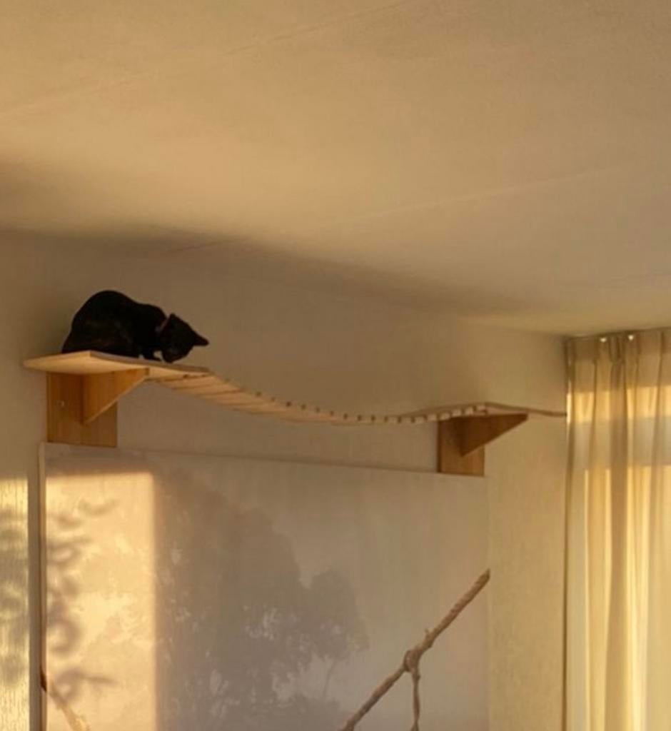Katten Brug / Ladder / Trap Hout - Klim Wand / Muur Meubel, Ophalen, Gebruikt