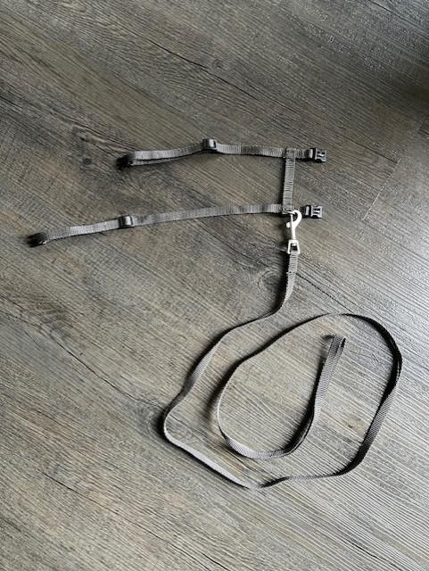 Tuigje voor katten, Dieren en Toebehoren, Katten-accessoires, Zo goed als nieuw, Ophalen of Verzenden