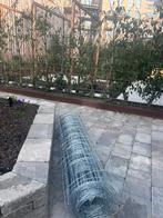 Schapengaas (+/- 25 m), Ophalen of Verzenden, Nieuw, 20 meter of meer