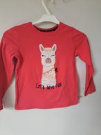 WE, longsleeve Alpaca,maat 110-116, Kinderen en Baby's, Kinderkleding | Maat 110, Gebruikt, WE, Meisje, Ophalen of Verzenden