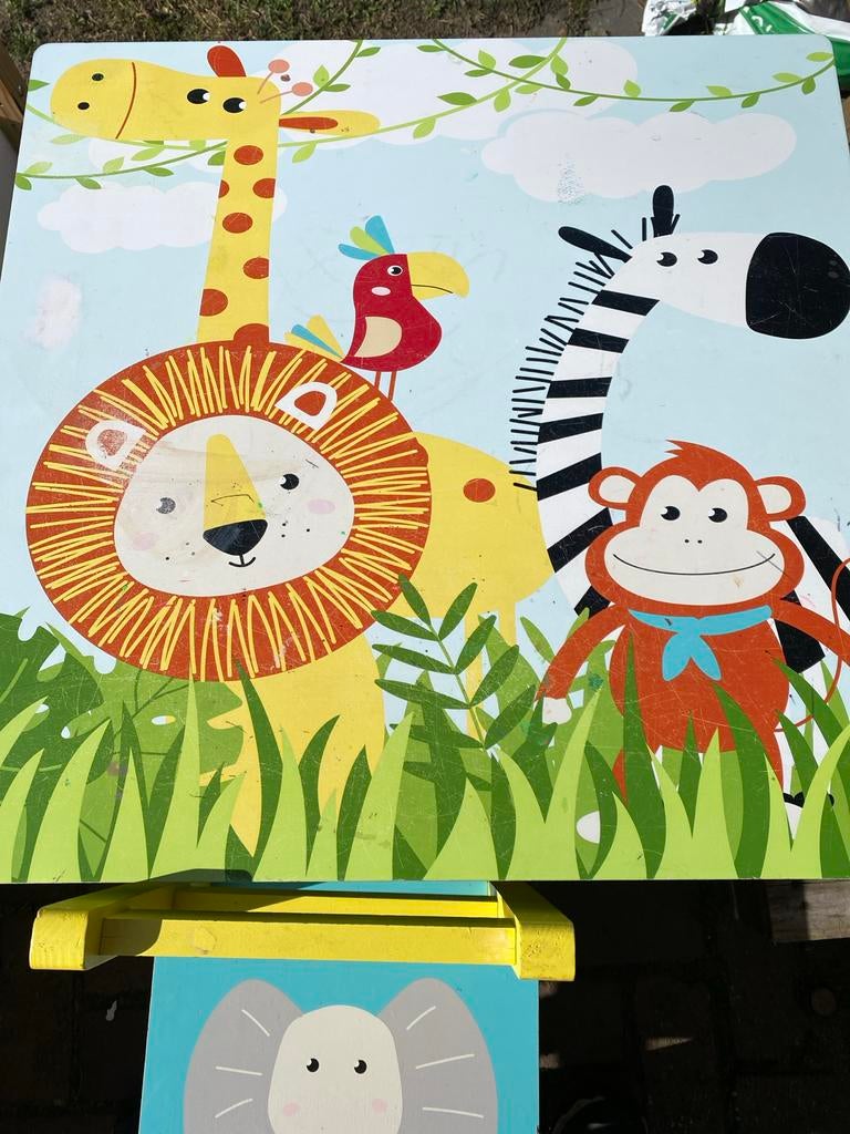 Kinder Tafel met Stoel - Dierenmotief, Ophalen of Verzenden, Gebruikt, Tafel(s) en Stoel(en)