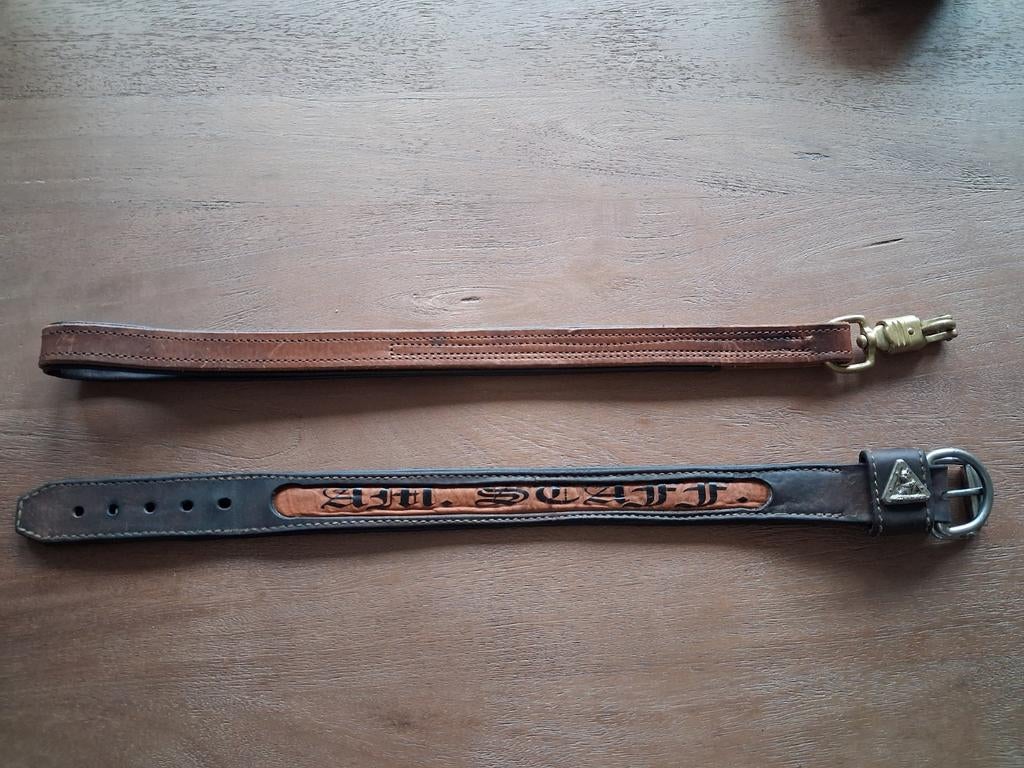 American Stafford halsband en riem, Ophalen of Verzenden, Nieuw