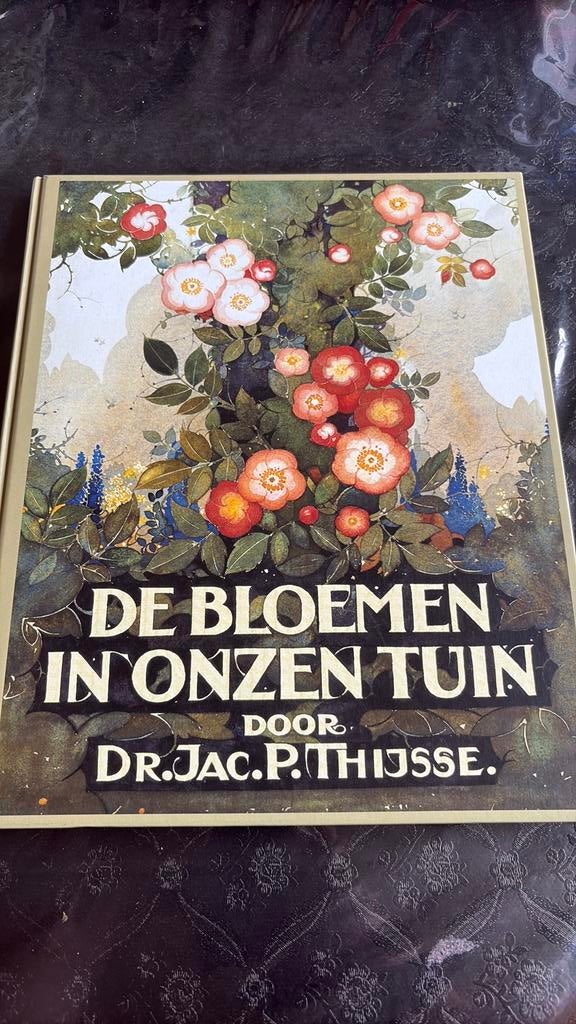 Jac.P. Thijsse - Verkade album, Boeken, Ophalen of Verzenden, Gelezen, Bloemen, Planten en Bomen, Jac.P. Thijsse
