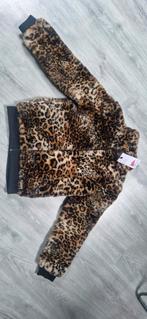 Nieuwe jas, Ophalen of Verzenden, Nieuw, Maat 38/40 (M), Zwart