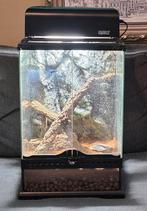 Terrarium / paludarium van exo terra 30x30x30, Dieren en Toebehoren, Ophalen, Zo goed als nieuw, Terrarium of Paludarium