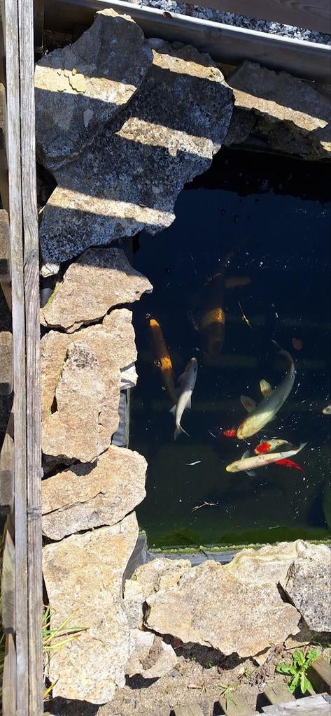 Flexstones, Tuin en Terras, Ophalen