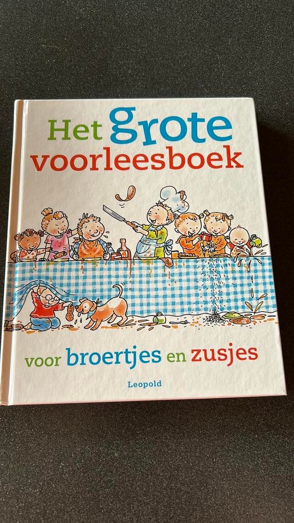 Het grote voorleesboek voor broertjes en zusjes, Fictie algemeen, Ophalen of Verzenden, Zo goed als nieuw, Voorleesboek