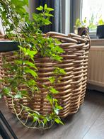 Zeer robuuste mand van riet, Huis en Inrichting, Woonaccessoires | Schalen en Manden, Ophalen, Zo goed als nieuw, Rond, Riet