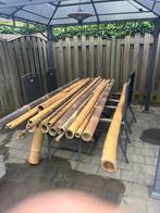 Bamboe palen, Tuin en Terras, Palen, Balken en Planken, Ophalen, 250 cm of meer, Palen