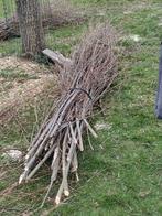 Wilgentenen gratis afhalen, Tuin en Terras, Ophalen, Nieuw, Hout, Overige typen