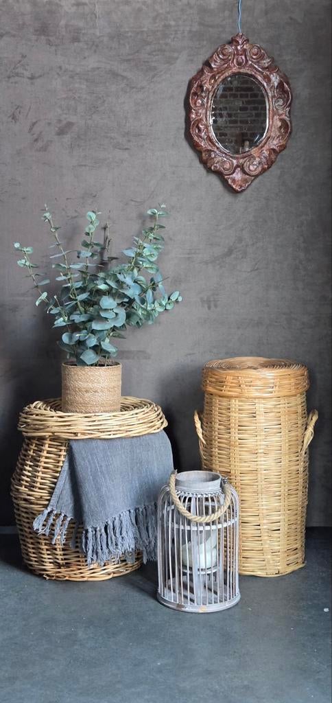 2 grote rieten rotan manden mand met deksel !, Huis en Inrichting, Woonaccessoires | Schalen en Manden, Ophalen, Rond, Riet