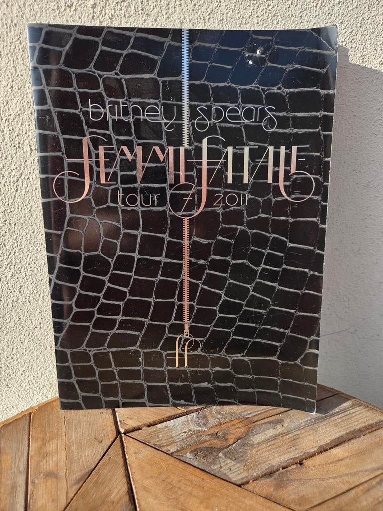 Britney Spears Femme Fatale Tour Boek 2011, Boeken, Ophalen of Verzenden, Gelezen, Artiest