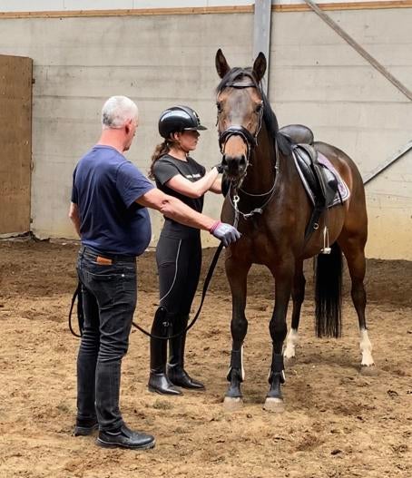 Zadelmak maken | africhten | uitbrengen | corrigeren, Ruiter of Bijrijder