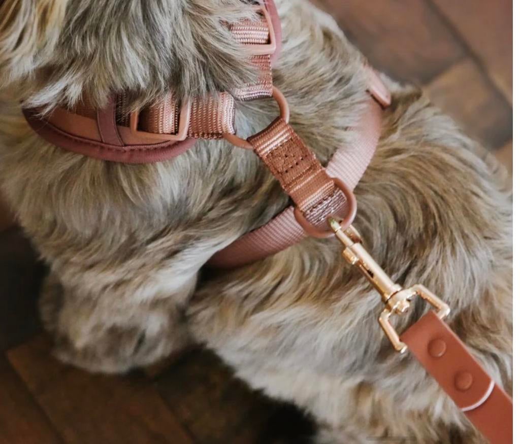 Honden tuigje Woof Wear jaap &co maat s, Ophalen of Verzenden, Nieuw