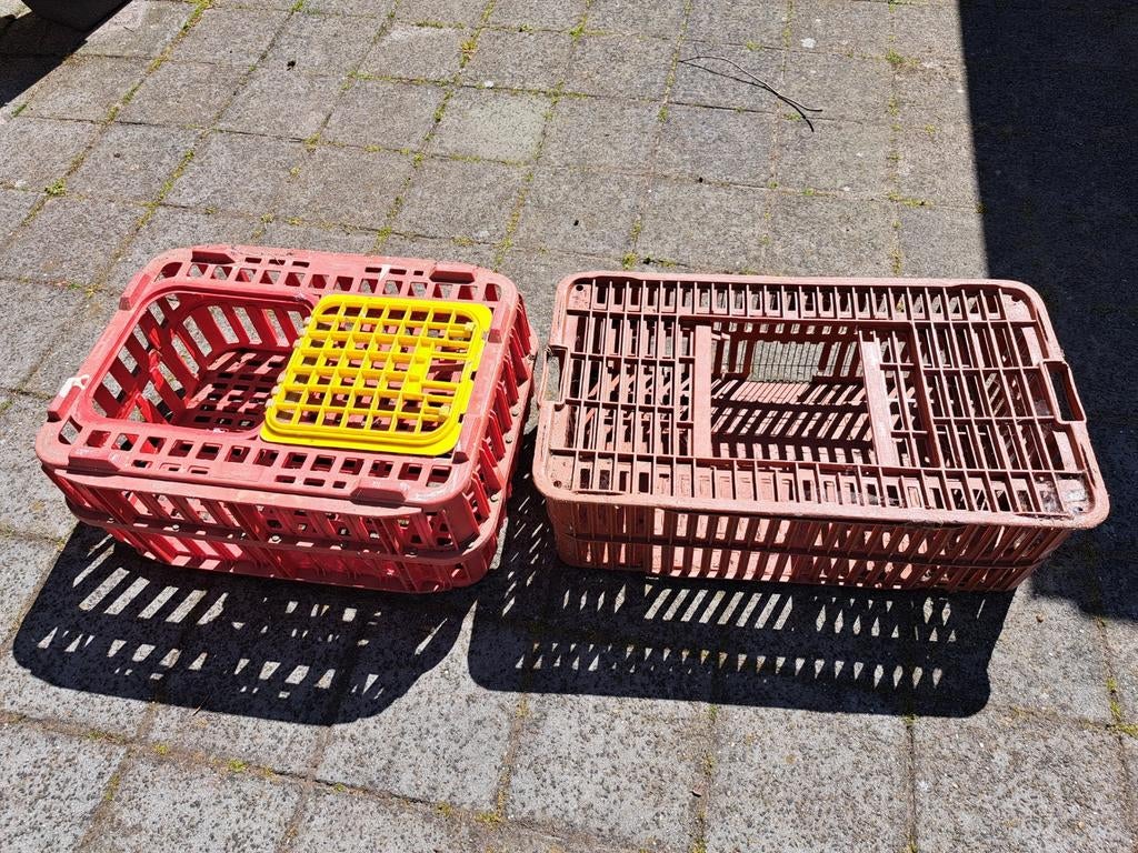 Pluimvee, Ophalen of Verzenden