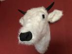Kop van een rund schotse hooglander, Ophalen of Verzenden, Zo goed als nieuw, Overige soorten, Gewei of Kop