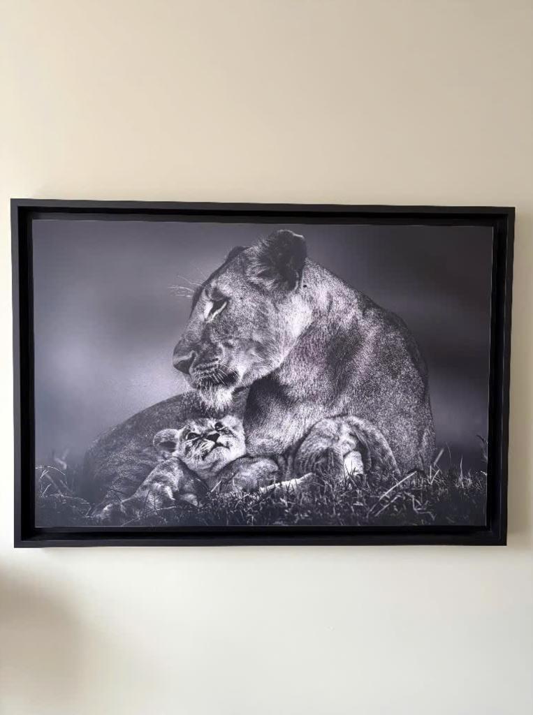 Foto schilderij Les yeaux de l'amour - Laurant Baheux, 50 tot 75 cm, Nieuw, Ophalen of Verzenden, 75 tot 100 cm