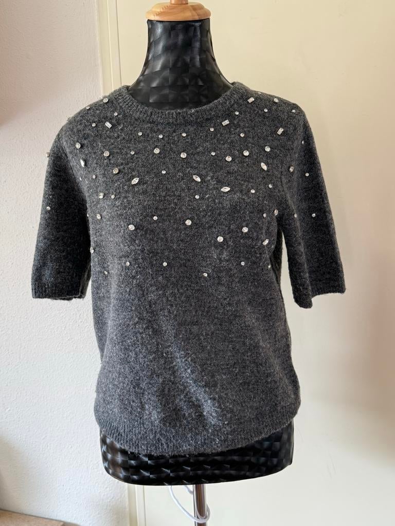 Grijze trui met korte mouwen en steentjes, Kleding | Dames, Ophalen of Verzenden, Gedragen, Maat 36 (S), Grijs