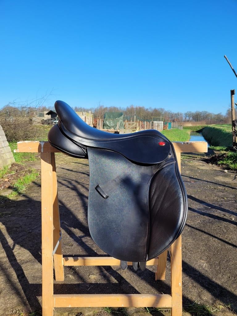 kent & master s-serie, Ophalen of Verzenden, Zo goed als nieuw, Dressuur