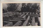 Naarden - Oud Valkeveen, Dwaaltuin, Ophalen of Verzenden, 1940 tot 1960, Gelopen, Noord-Holland