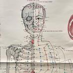 Elektro-Acupunctuur handboeken, naslagwerken, Ophalen, Gelezen, Natuurwetenschap