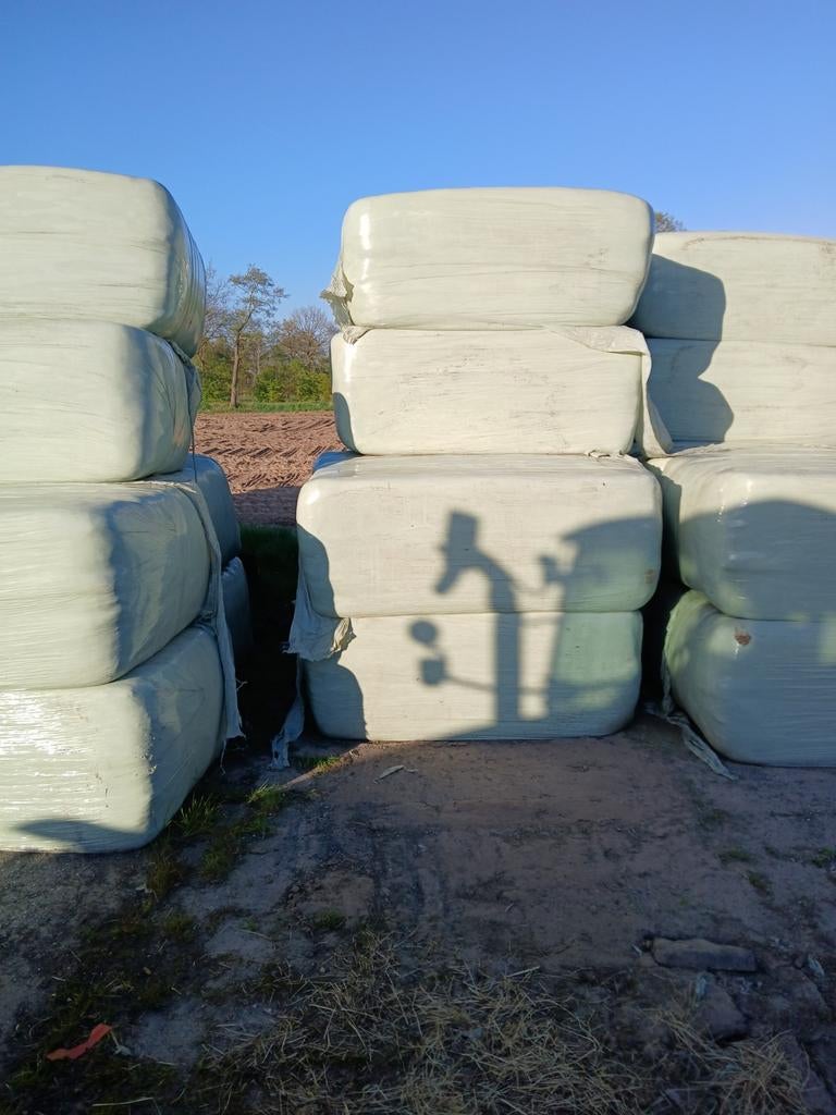 Balen kuilvoer, Ophalen, Vee