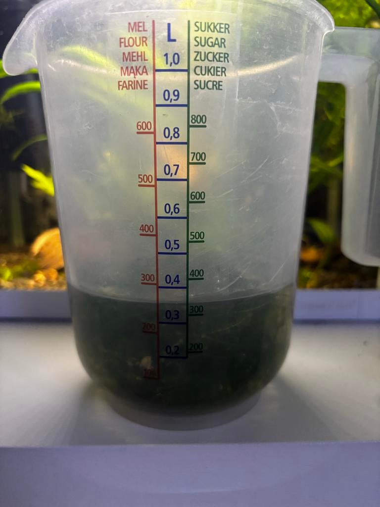 Javamos, Ophalen of Verzenden, Plant(en), Steen of Hout