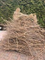 Gratis snoeihout voor paasvuur, Tuin en Terras, Palen, Balken en Planken, Ophalen of Verzenden, Gebruikt, Minder dan 180 cm, Overige typen