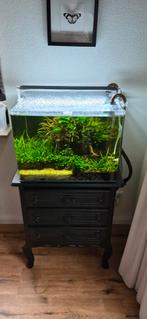 Compleet 70L aquarium met techniek en toebehoren, Dieren en Toebehoren, Vissen | Aquaria en Toebehoren, Ophalen, Gebruikt, Gevuld zoetwateraquarium