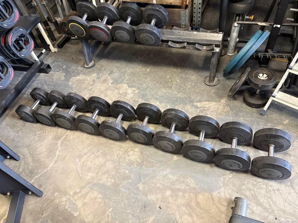 Technogym dumbbells 22-30 kg gewichten, Sport en Fitness, Fitnessmaterialen, Ophalen, Dumbbell, Gebruikt, Technogym