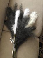 10 pluimen waren 5,45 per stuk zie prijskaartje, Ophalen of Verzenden, Zo goed als nieuw